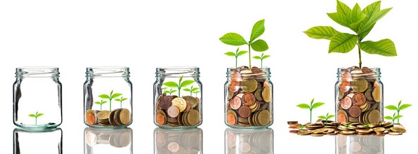 The Dividend Factory